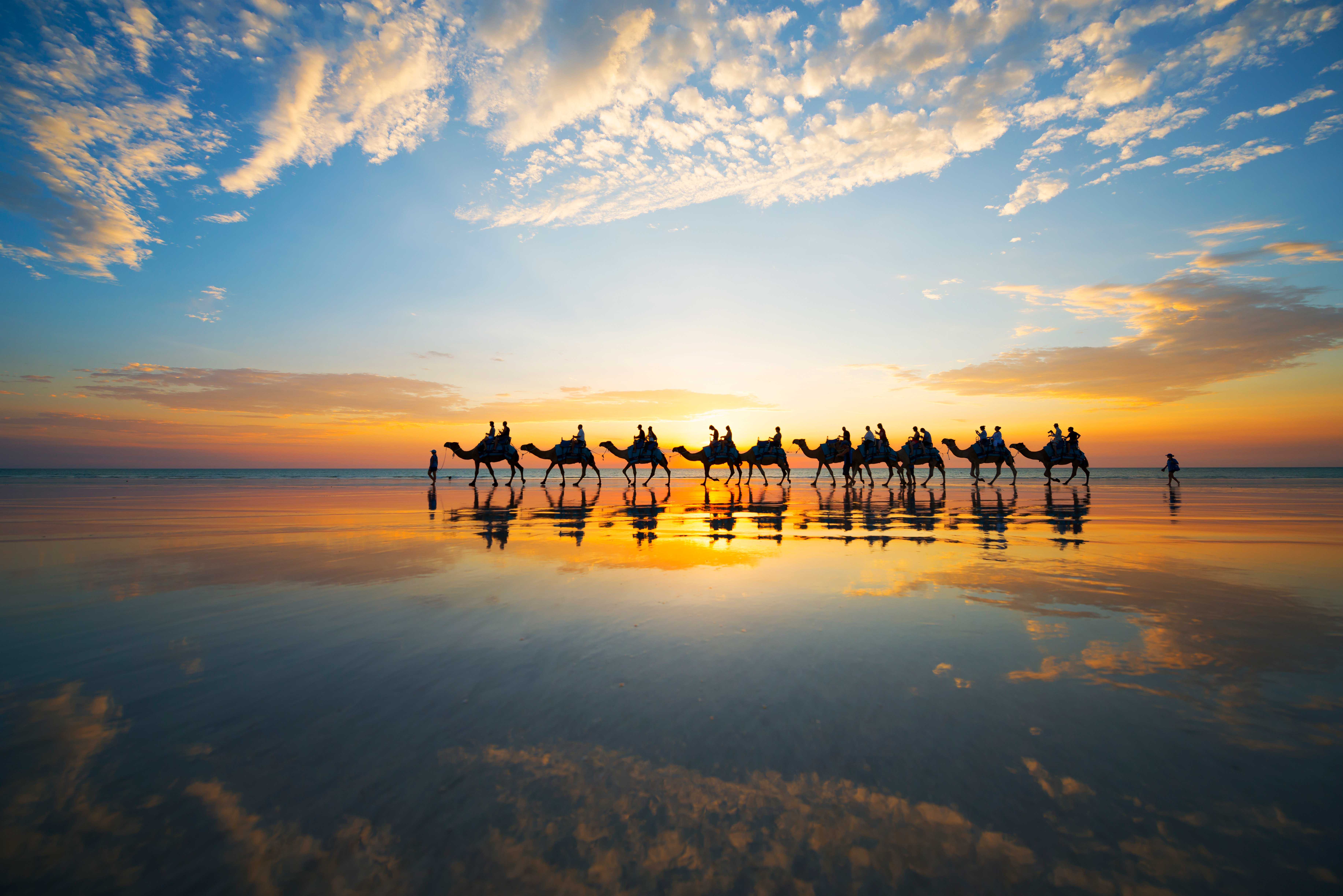 Camels Cable Beach